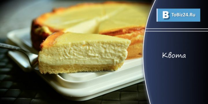 Квота: что это такое, примеры в разных сферах